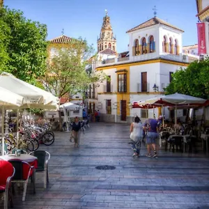 La Casa De La Musica Appartamento